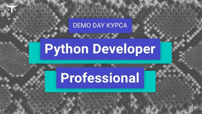 OTUS: Demo Day курса «Python Developer. Professional» - видео -