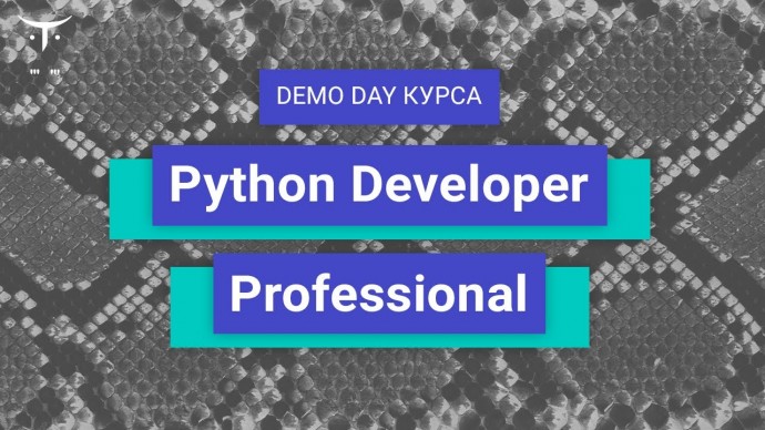 OTUS: Demo Day онлайн-курса «Python Developer. Professional» - видео