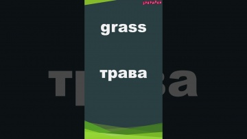 Зубрилка: Grass. Тренажер английских слов. #shorts - видео