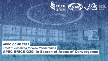 ДВФУ: APEC-BRICS-G20: in Search for Areas of Convergence - видео