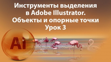 Графика: Уроки Иллюстратора. Adobe Illustrator. Урок 3. Инструменты выделения. - видео