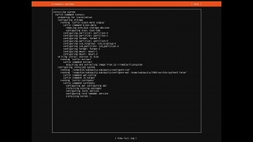 Графика: Установка Ubuntu Linux Server 20.04 LTS (Installation Ubuntu Linux Server 20.04 LTS) - вид