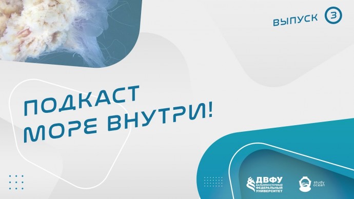 ДВФУ: Исследовательский флот, рыбное хозяйство и морские деликатесы - видео