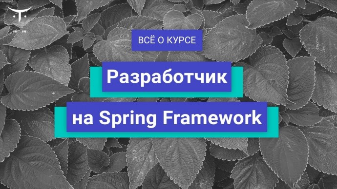 OTUS: Разработчик на Spring Framework // День открытых дверей OTUS - видео