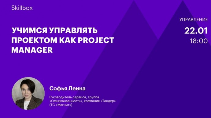 Skillbox: Учимся управлять проектом как Project Manager - видео -