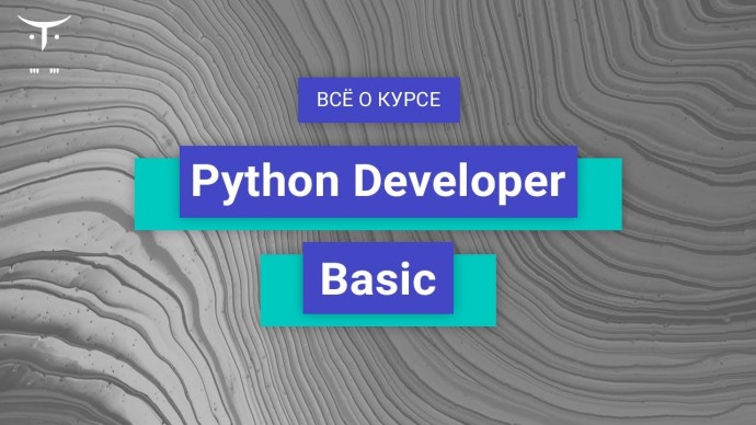 OTUS: Python Developer. Basic // День открытых дверей OTUS - видео -