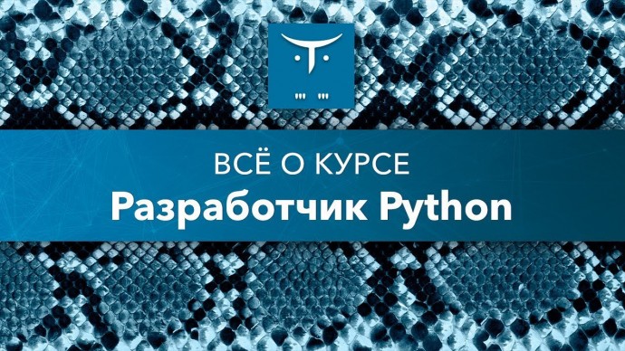 OTUS: Разработчик Python // День открытых дверей OTUS - видео