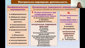 ПБУ: Новое в проверках ГИТ. Виды проверок. 248 ФЗ - видео